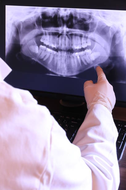 Best Emergency X-Rays and Diagnostics in Mlstadt, IL